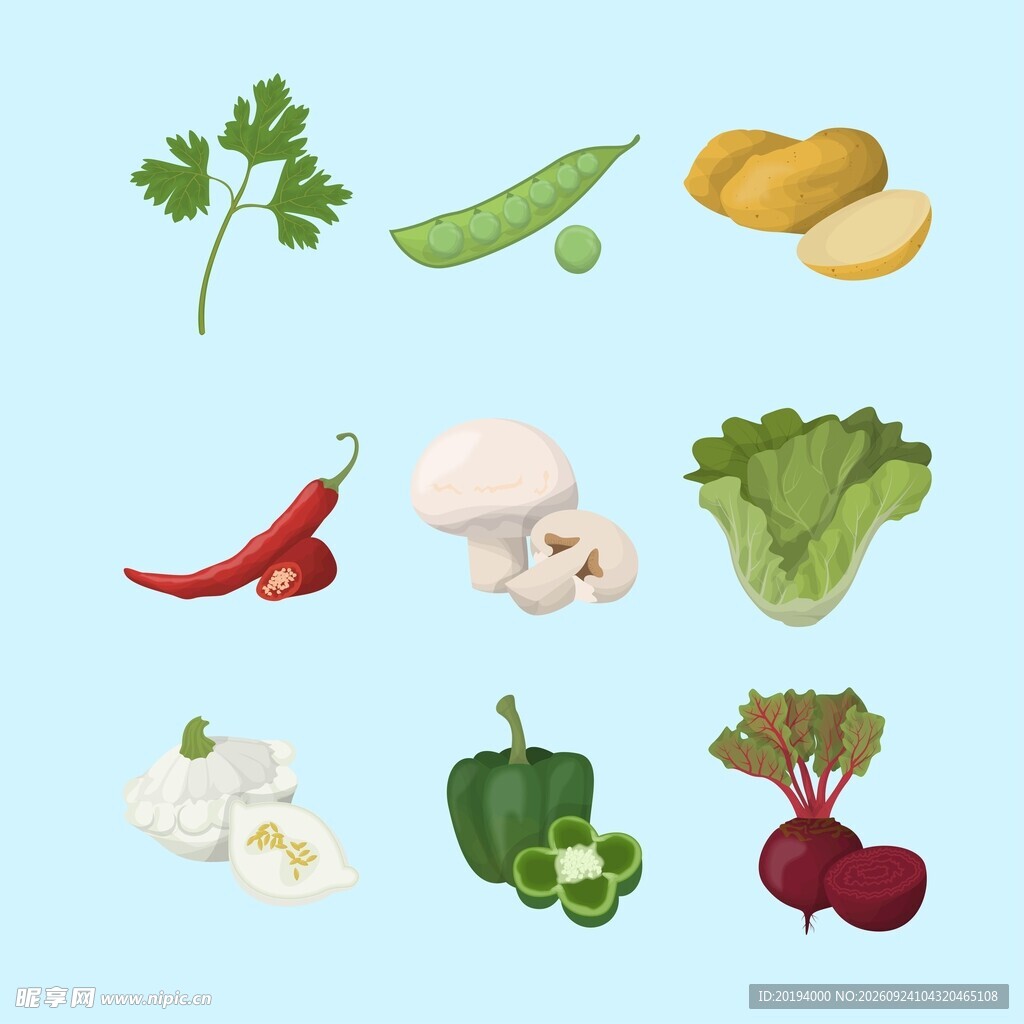 蔬菜插画合集