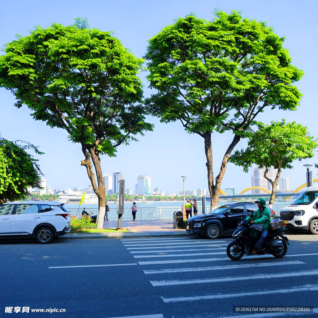 滨江城市道路街景