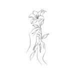 线描手捧百合插画