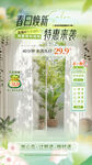 春日绿植特惠活动海报