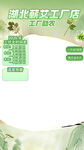 蕲艾工厂店详情页模板