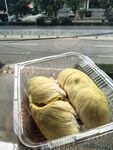 盒装新鲜榴莲果肉