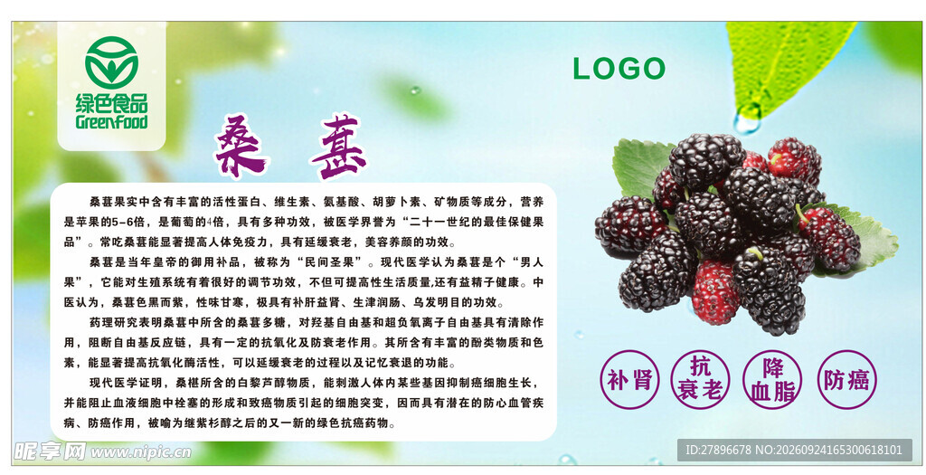 桑葚科普宣传海报