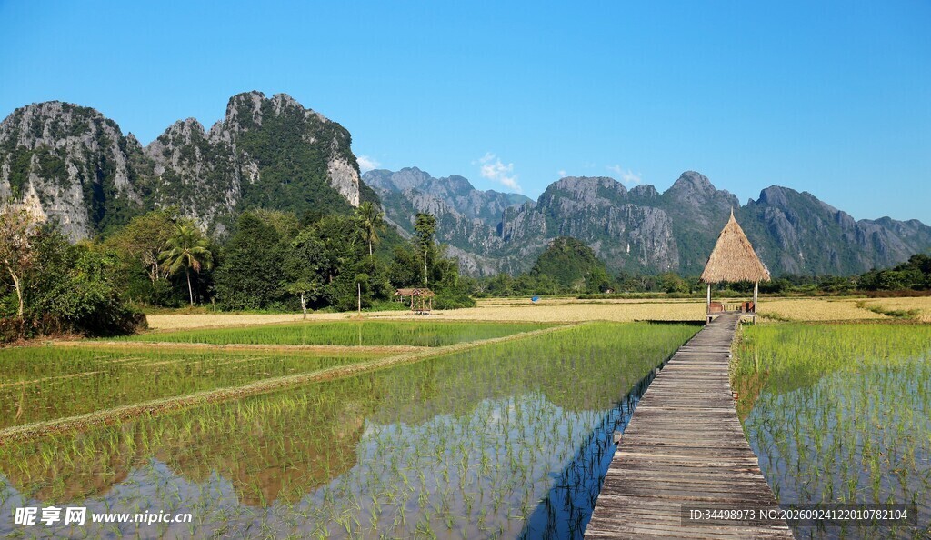 郊野湿地山水风光