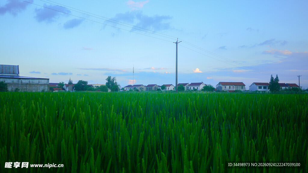 郊野农田远景风光