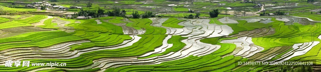 清新郊野草地风光