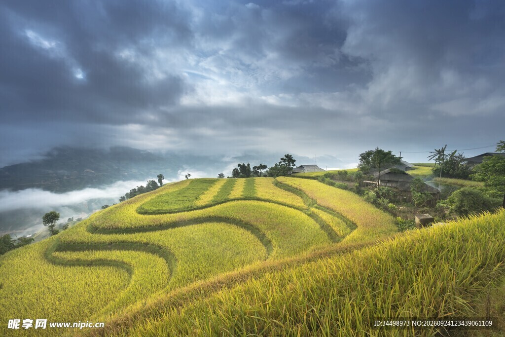 山间梯田田园风光