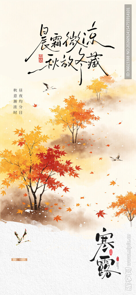 寒露节气水墨秋景海报