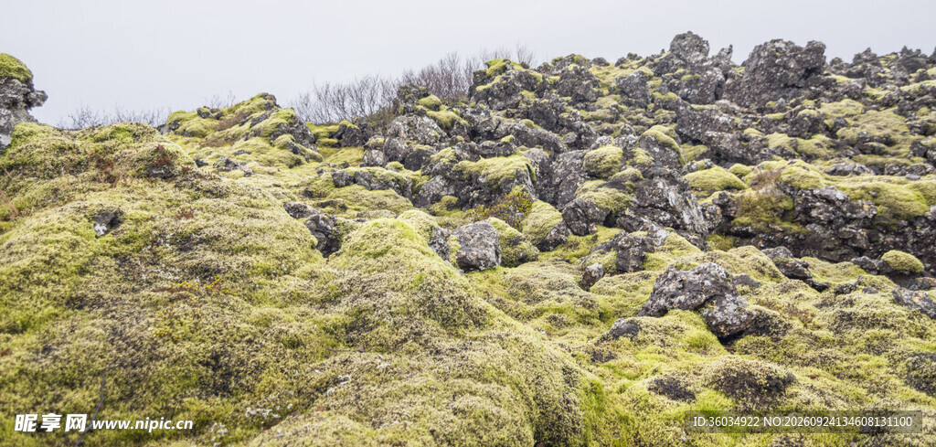 苔原郊野自然景观
