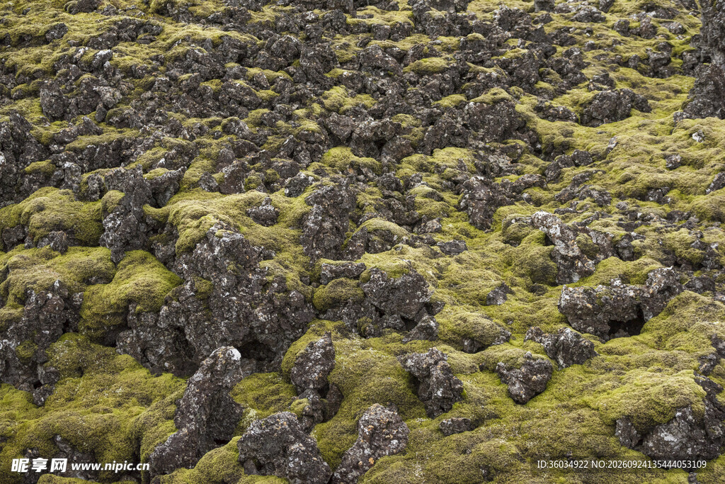 苔藓覆盖的火山岩地貌