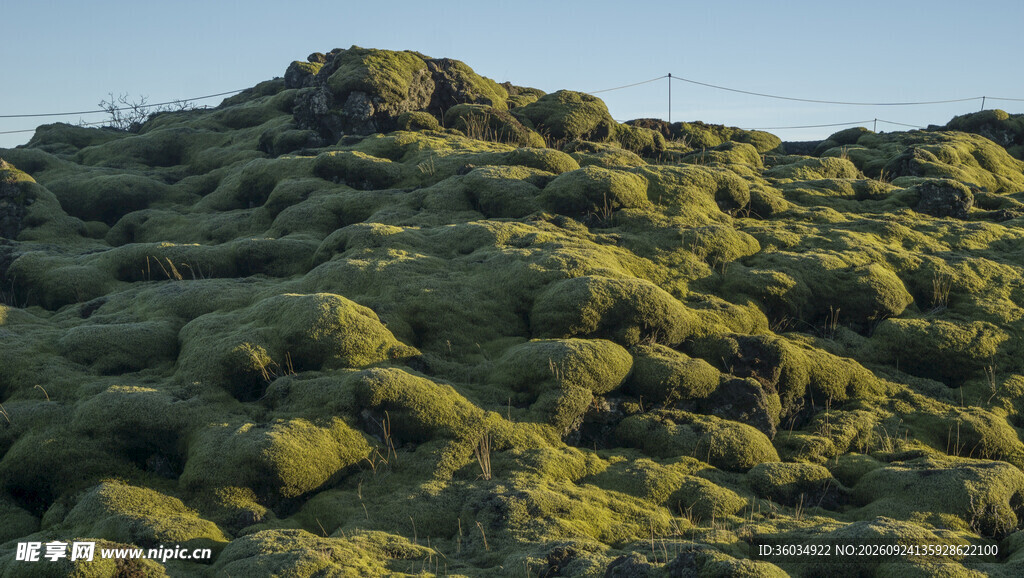 郊野山坡植被景观