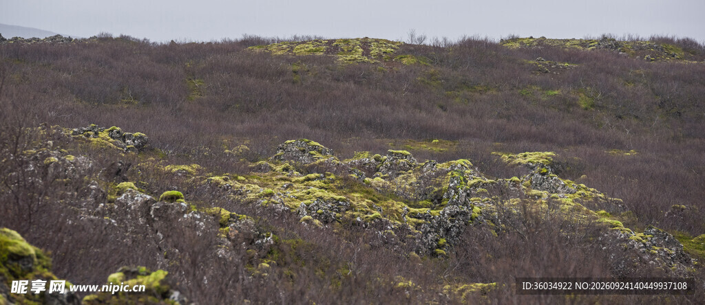 荒原旷野自然景观