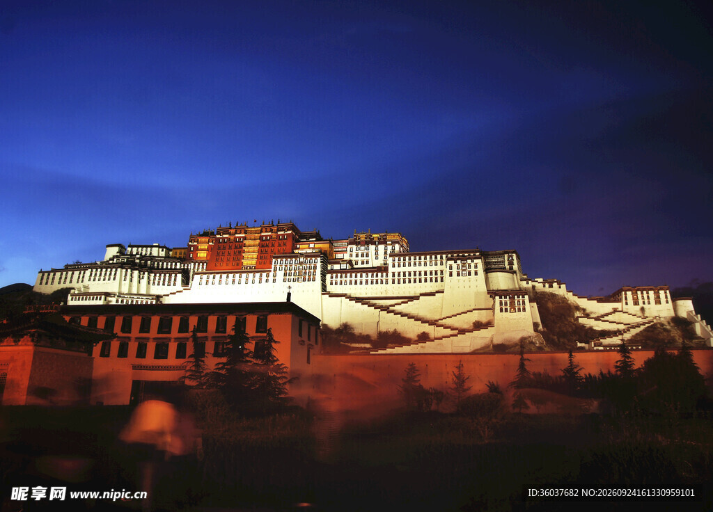 布达拉宫夜景