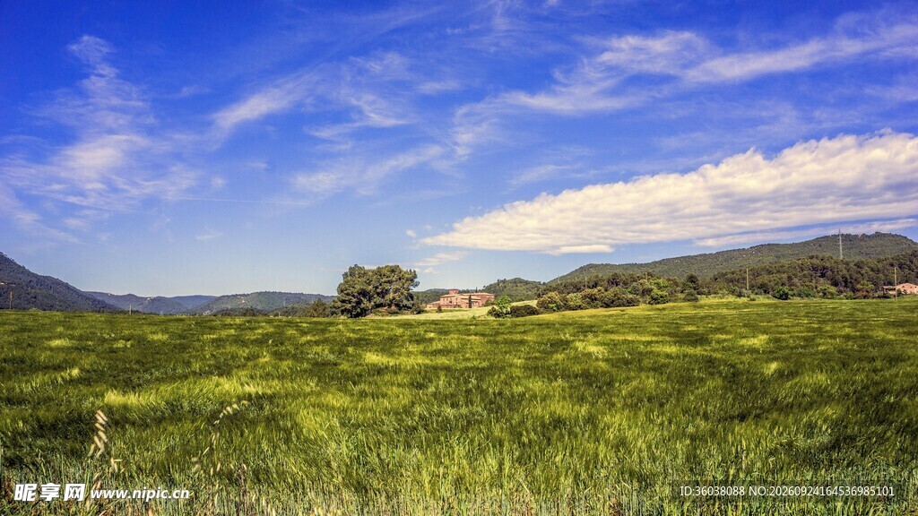 郊野晴日草原风光