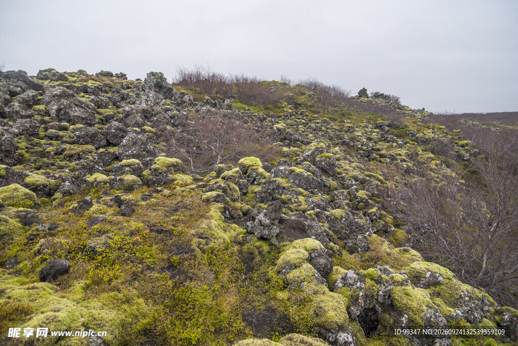 苔原岩坡郊野自然风光