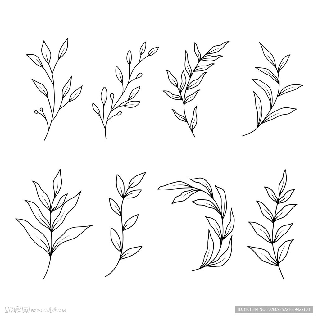植物枝叶