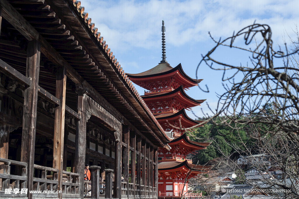 日本古寺五重塔风光
