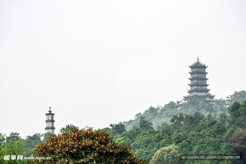 雾中山林双塔