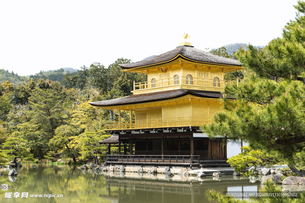 京都金阁寺风光