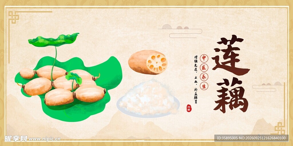 莲藕