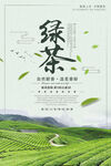 绿茶