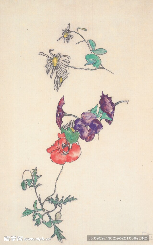 手绘复古花卉插画