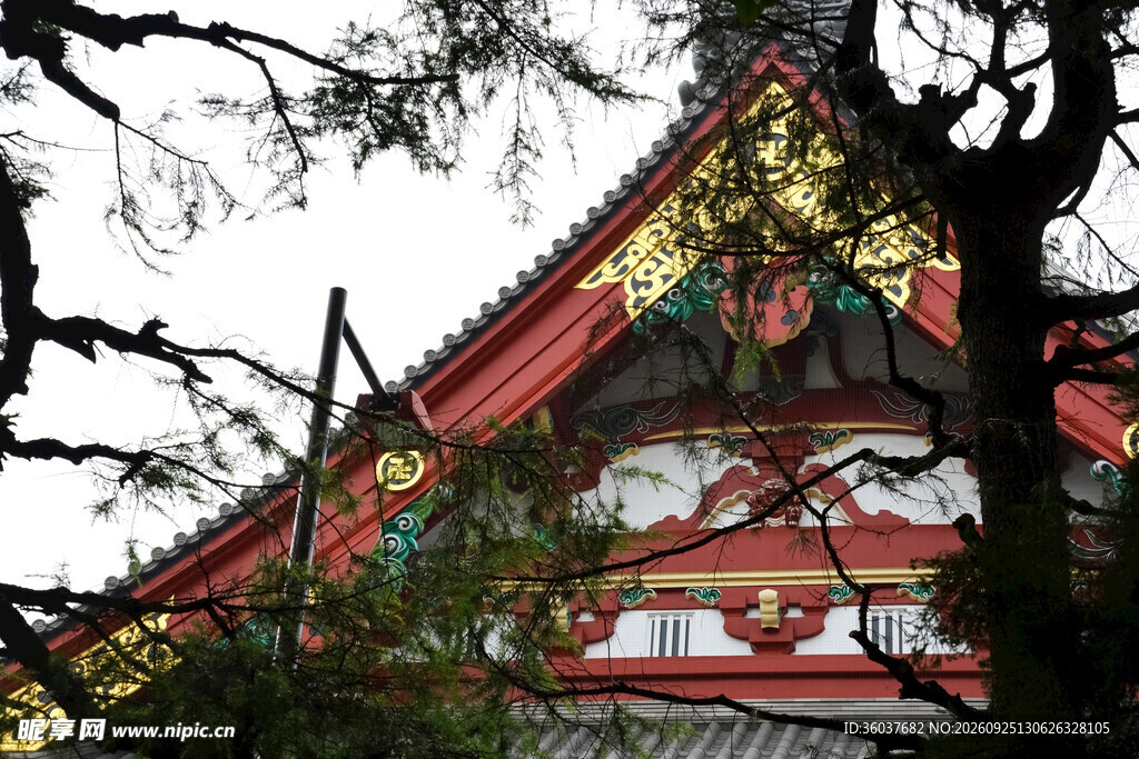 树影掩映中式古建飞檐