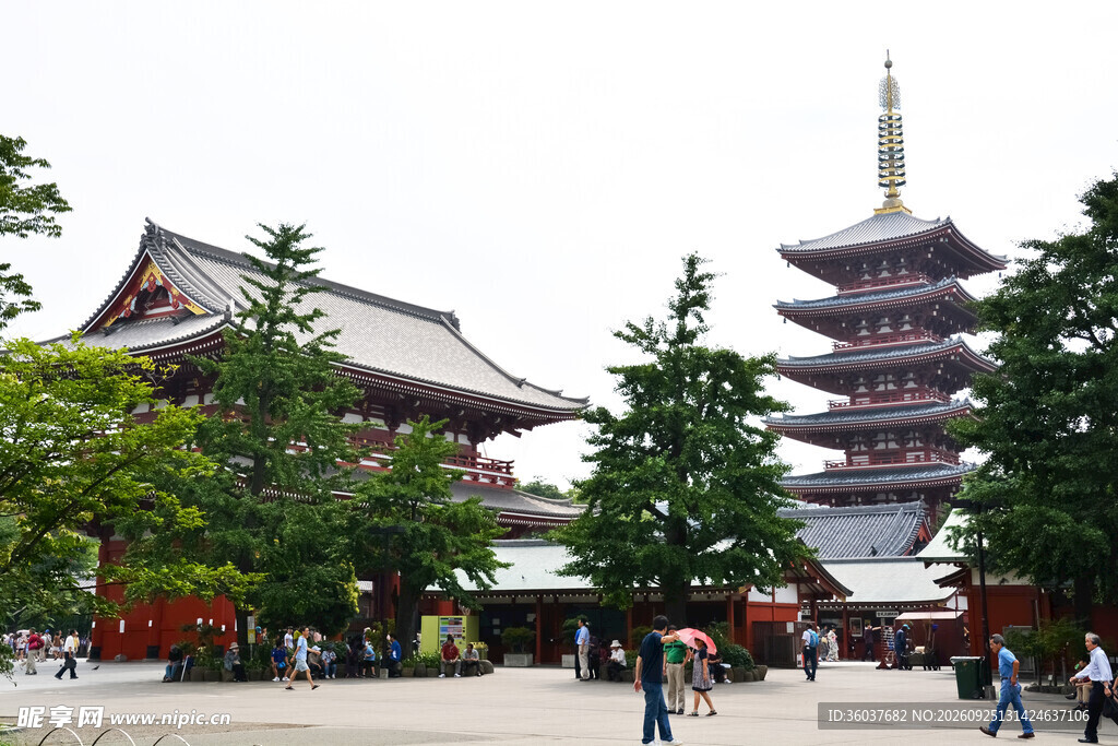 日本浅草寺五重塔风光