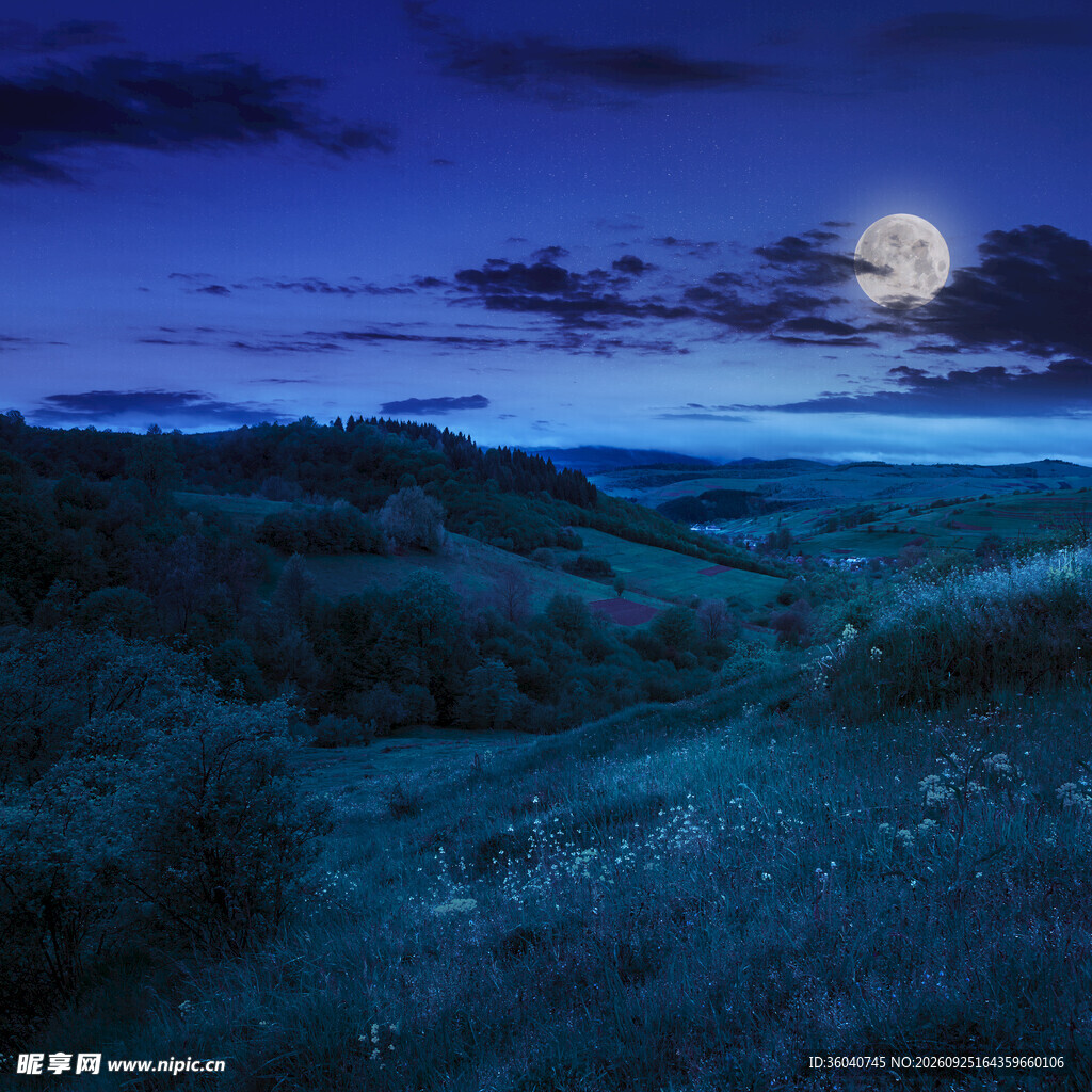 旷野月夜唯美夜景