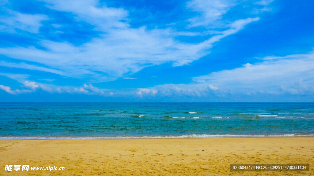 夏日海边沙滩风光