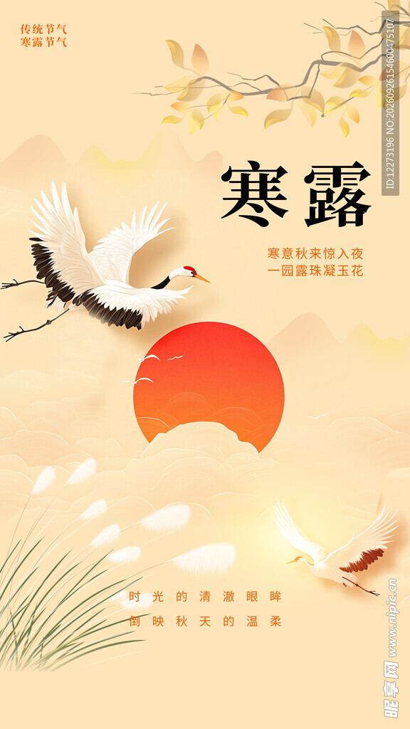 寒露国风节气海报