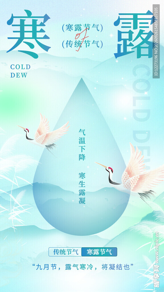 寒露节气创意海报