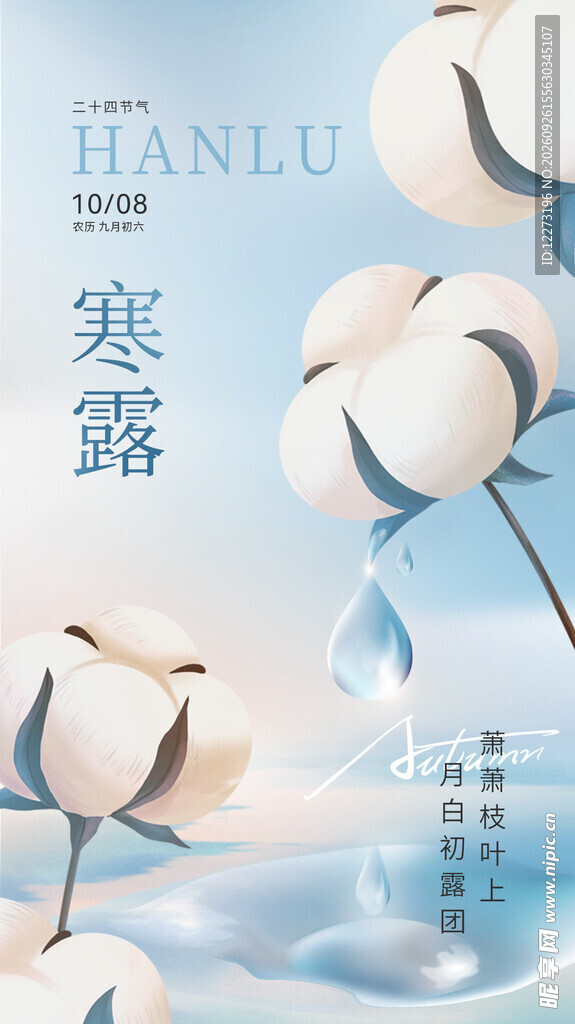 寒露节气主题海报