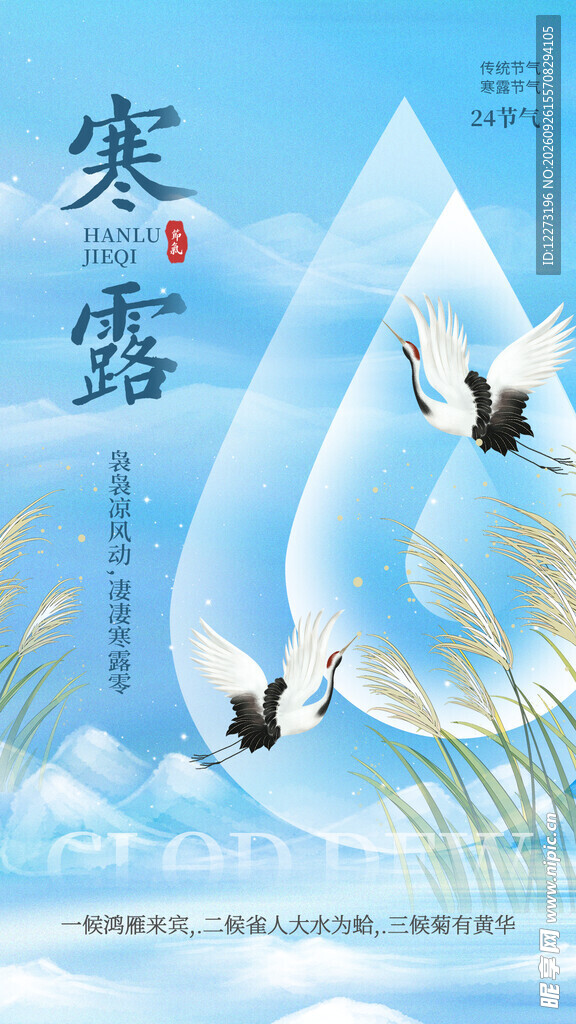 寒露节气清新国风海报