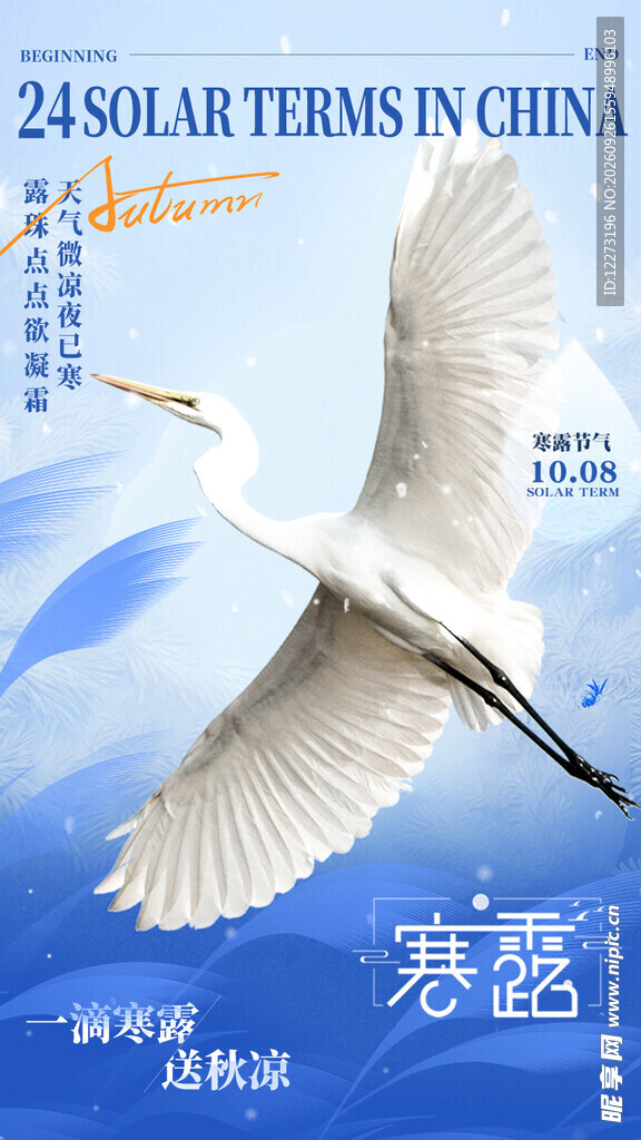寒露白鹭节气创意海报