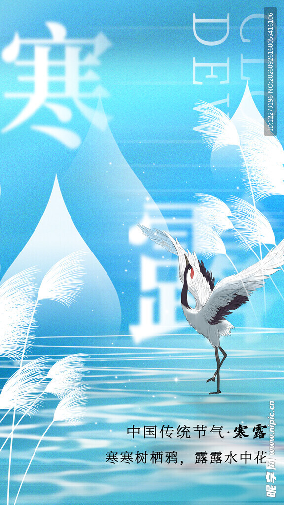寒露节气主题海报