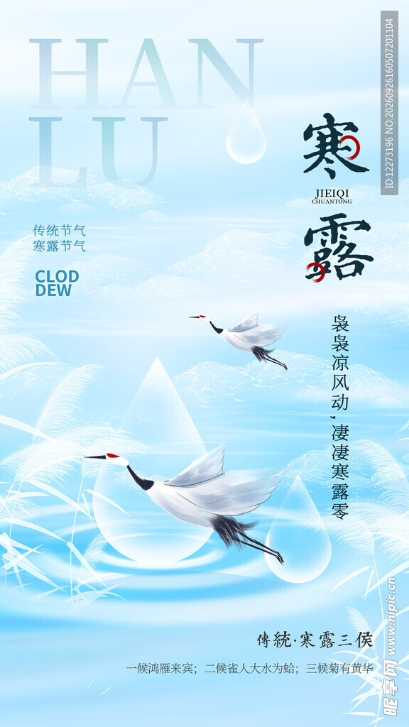 寒露节气国风海报