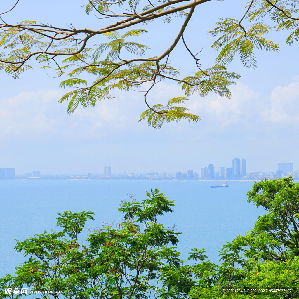 临海远眺城市绿意风光
