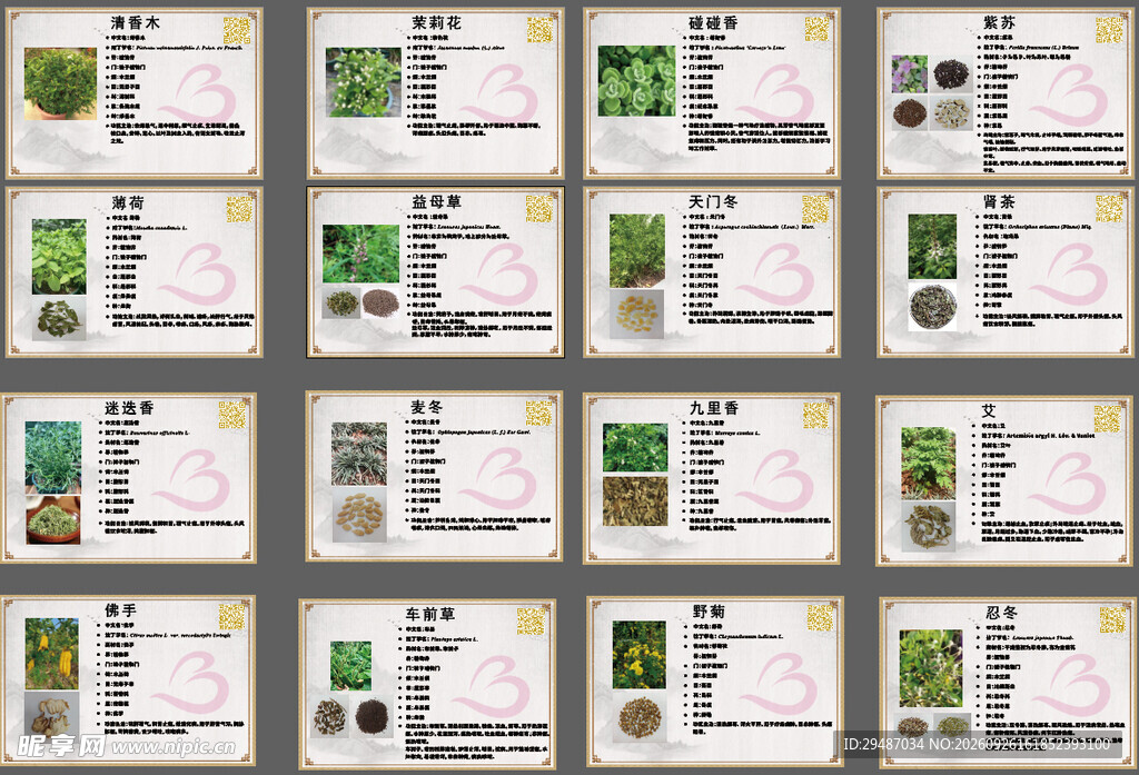 中草药科普卡片合集
