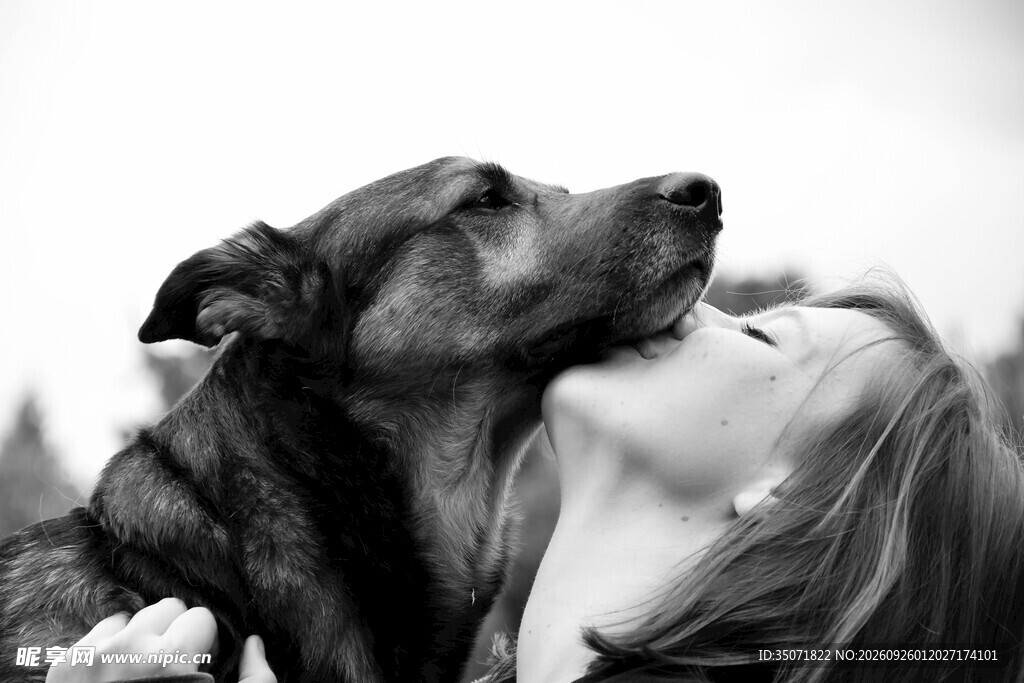 人与爱犬亲昵瞬间