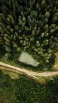 郊野绿植小路风景