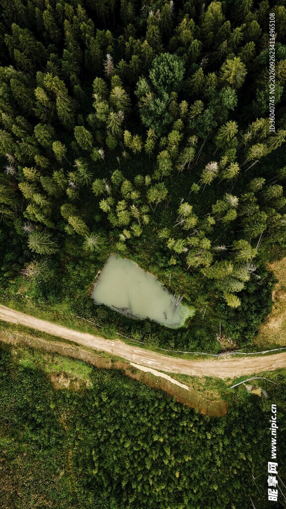 郊野绿植小路风景