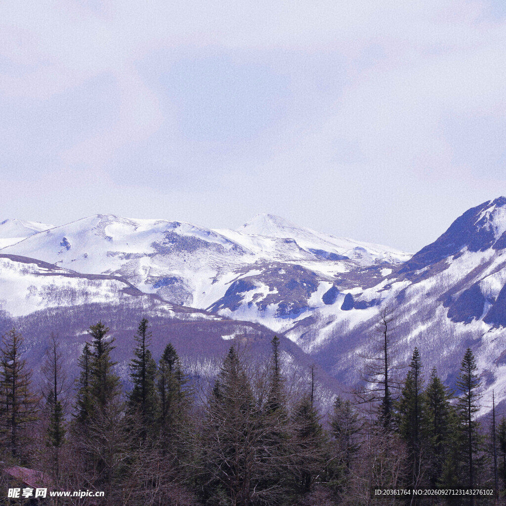 雪山森林自然风光