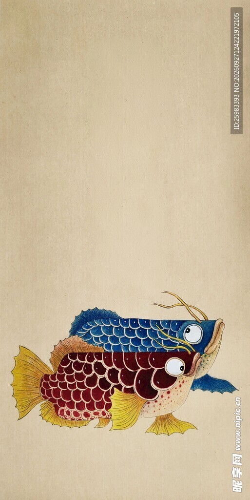 龙鱼插画