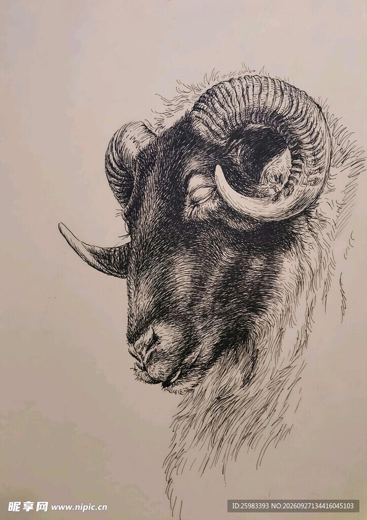 素描