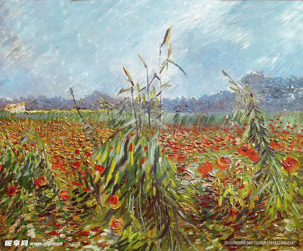 虞美人花田风景油画