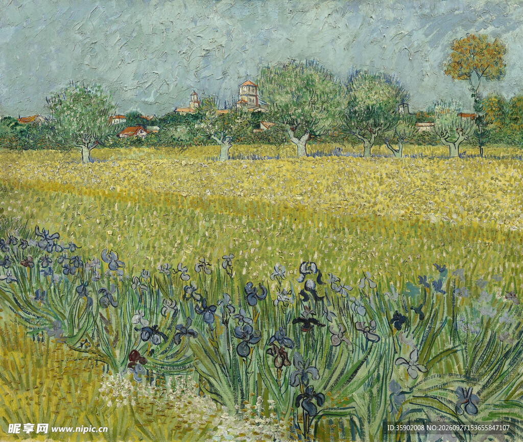 郊野鸢尾花风景油画