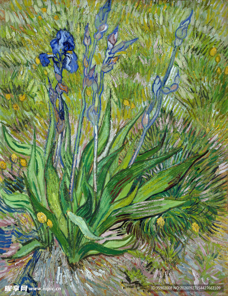 鸢尾花卉印象派油画