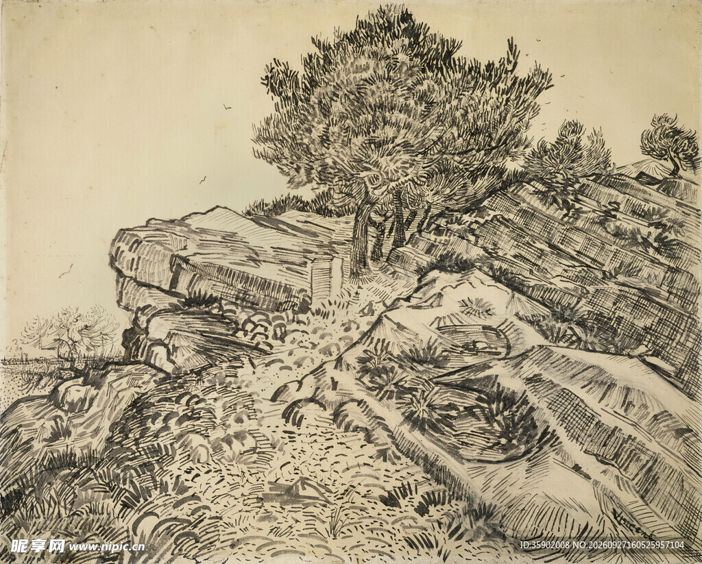手绘素描山野老树风景