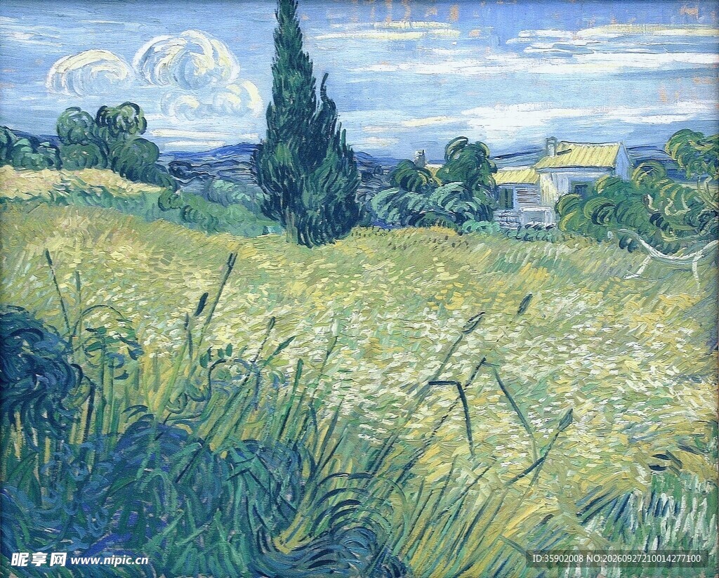 郊野麦田风景油画